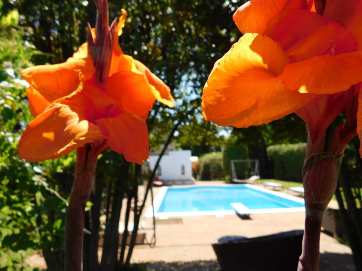 Appartamento Con Piscina Immersa Nel Verde 卡希纳 外观 照片
