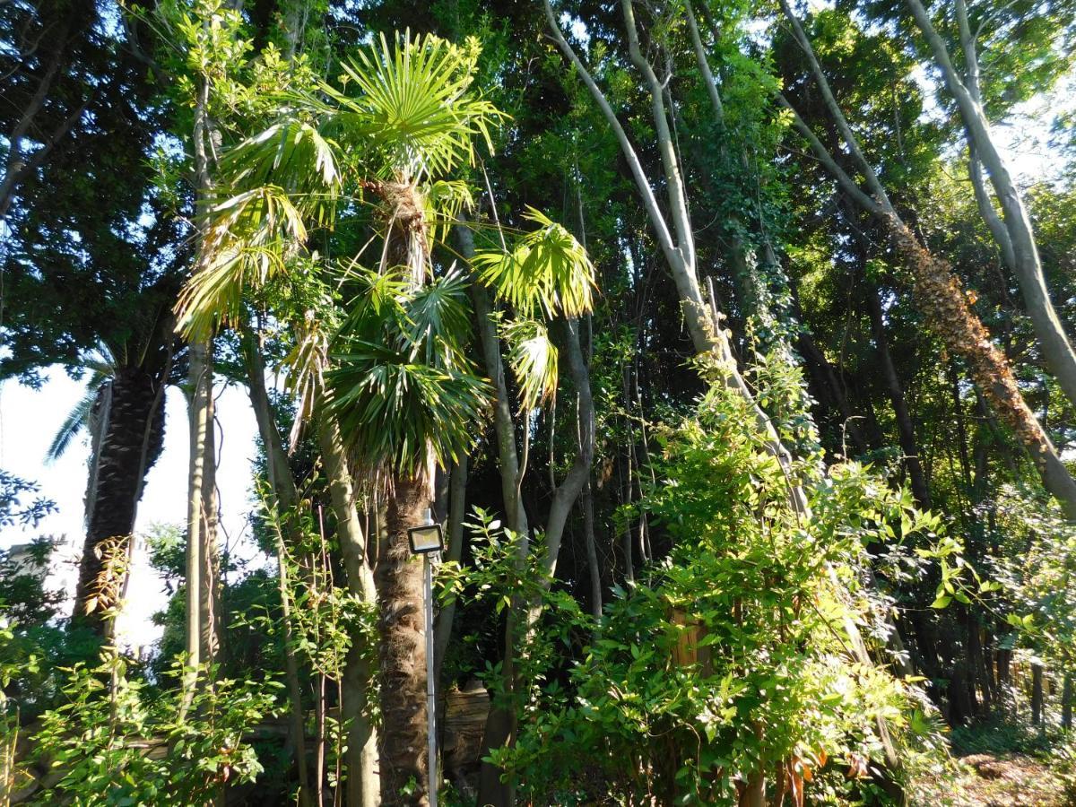 Appartamento Con Piscina Immersa Nel Verde 卡希纳 外观 照片