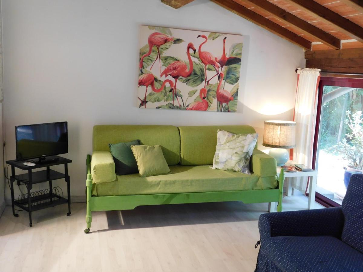Appartamento Con Piscina Immersa Nel Verde 卡希纳 外观 照片