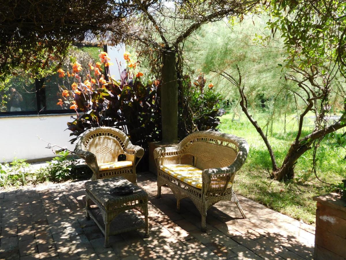 Appartamento Con Piscina Immersa Nel Verde 卡希纳 外观 照片